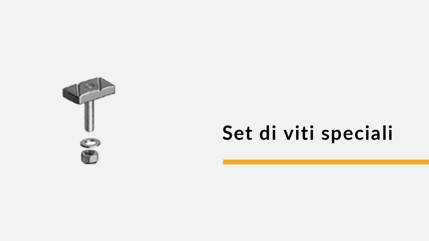 Set di viti speciali (confez. 100 pz)