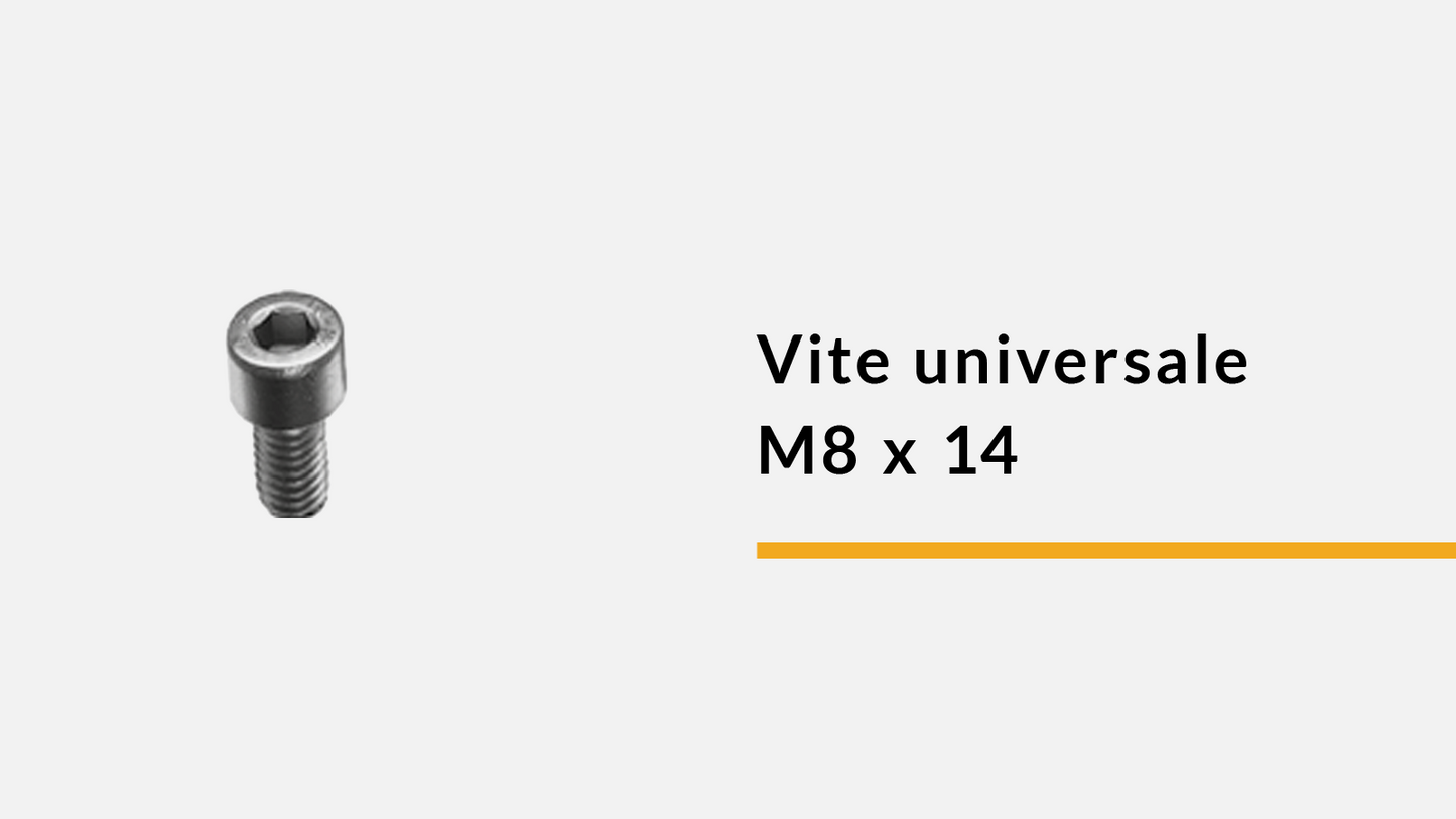 Vite universale M8 x 14 mm (confez. 100 pz)