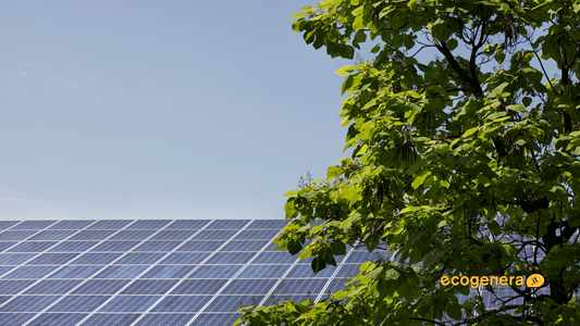Fotovoltaico: Soluzione Green per Risparmio Energetico