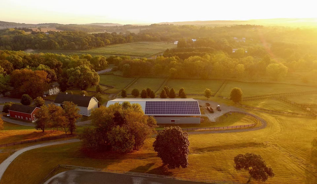 "Verde Brillante: L'ascesa delle Energie Rinnovabili nel Mercato Italiano"