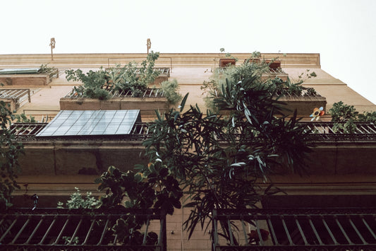 green plant near brown building during daytime